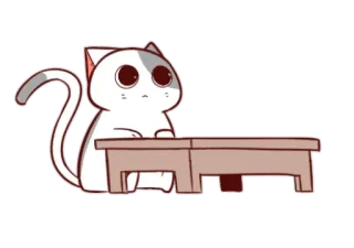 😸 แมว, น่ารัก, สัตว์, คาวาอิ, สติกเกอร์, โต๊ะ whatsapp sticker