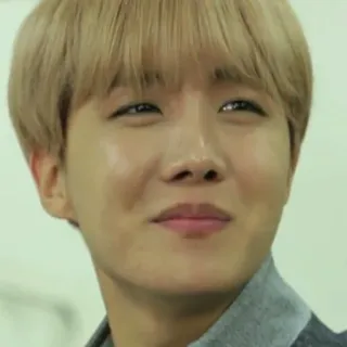 🙃 J-Hope kpop, penyanyi, bts, musik, idola, orang, selebriti telegram sticker