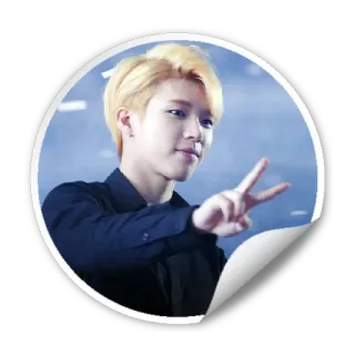✌ человек, kpop, айдол, мужчина, портрет telegram sticker