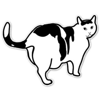 👀 gato, animal, mascota, animal doméstico telegram sticker