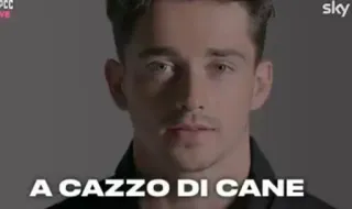 🐶 A CAZZO DI CANE italiano, gíria, palavrão, expressão telegram sticker