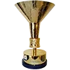 🏆