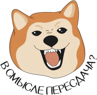 😡 В СМЫСЛЕ ПЕРЕСДАЧА? doge, 개, 밈, 질문, 러시아어, 텍스트 telegram sticker