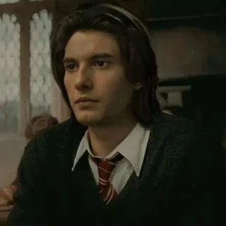 💋 Sirius Black Harry Potter harry potter, ben barnes, sirius black, wizard telegram sticker