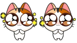 🤩 gato, lindo, brillo, kawaii, animal, dibujo, pegatina telegram sticker