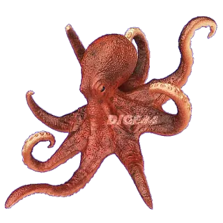 🐙 octopus, sea creature, ocean life, cephalopod, animal, marine telegram sticker