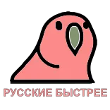 🇷🇺 РУССКИЕ БЫСТРЕЕ นกแก้ว, นก, รัสเซีย, ข้อความ telegram sticker