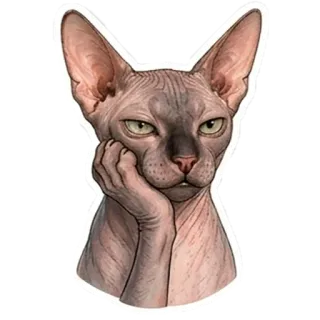 😒 Sphynx cat telegram sticker