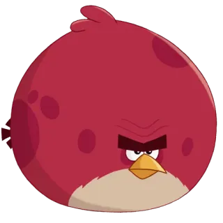 😋 Red Bird Angry Birds красная птица, Angry Birds, мультфильм, злой, птица, мобильная игра telegram sticker