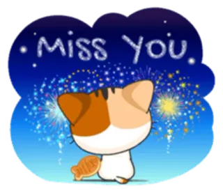 😔 Miss you. cat, miss you, fireworks, cute, sticker telegram sticker