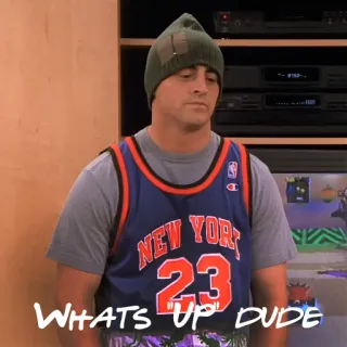 😐 WHATS UP DUDE homem, chapéu, camisola, nova iorque, basquetebol telegram sticker