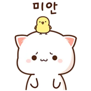 😞 미안 Katze, Vogel, süß, Entschuldigung, Verzeihung telegram sticker