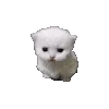 🐈