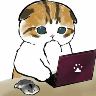🐱 chat, ordinateur portable, mignon, animal, dessin animé, hamster telegram sticker