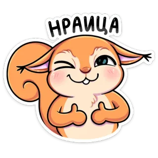👍 НРАИЦА esquilo, desenho animado, gesto obsceno, animal, engraçado, fofo telegram sticker