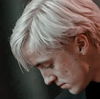 🪐 Draco Malfoy Harry Potter draco malfoy, harry potter, tom felton, sonserina telegram sticker