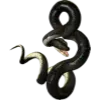 🐍