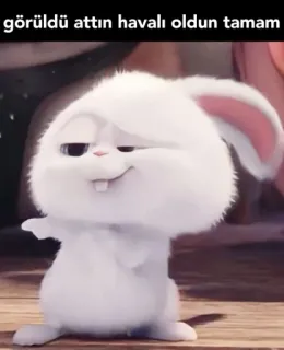 🤓 Snowball The Secret Life of Pets görüldü attın havalı oldun tamam 토끼, 바니, 흰색, 동물, 애완동물, 마이펫의 이중생활, 만화 whatsapp sticker
