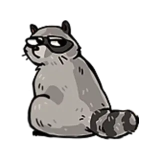 😒 gấu mèo, động vật, kính, hoạt hình, dễ thương, hài hước telegram sticker
