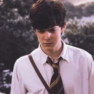 ✧◝edmund pevensie² || @sweetymills telegram stickers