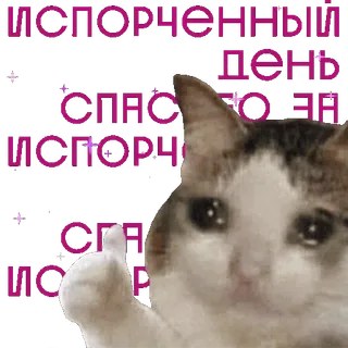 😰 Испорченный день спасибо за испорченная спа ис cat, sad, spoiled, thumbs up, russian, meme telegram sticker