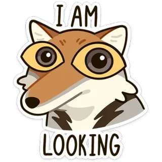 👀 I AM LOOKING renard, regard, animal, mème, drôle, yeux, mignon whatsapp sticker