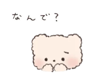 🎀 なんで? mignon, ours, question, kawaii, animal whatsapp sticker
