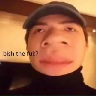 👑 bish the fuk? meme, funny, humor, offensive telegram sticker