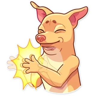 👏 Hund, Chihuahua, Klatschen, Applaus, Feier, Süß, Tier whatsapp sticker