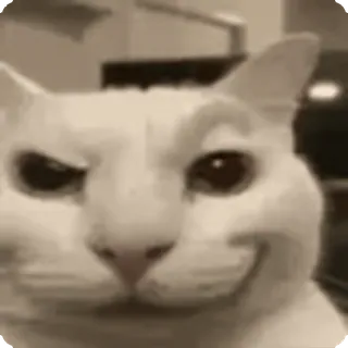 🤨