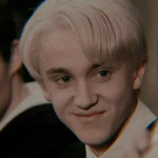 🐍 Draco Malfoy Harry Potter draco malfoy, harry potter, slytherin, zauberer, young adult whatsapp sticker