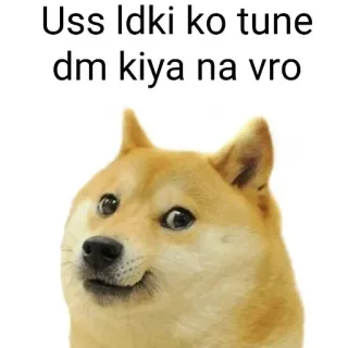 😂 Doge Doge Meme Uss ldki ko tune dm kiya na vro telegram sticker