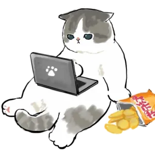 💻 Katze, Laptop, Chips, Tier, Cartoon, Sticker whatsapp sticker