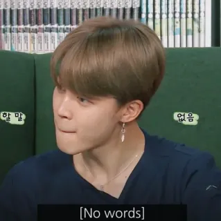 😑 할 말 없음 koreanisch, ausdruck, jimin, bts telegram sticker