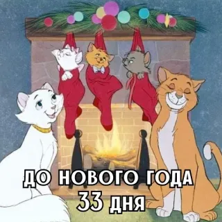 🎄 ДО НОВОГО ГОДА 33 ДНЯ chat, nouvel an, fête, chats, compte à rebours whatsapp sticker