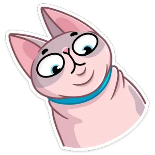 👀 gatto, gatto sphynx, animale, animale domestico, carino, cartone animato telegram sticker