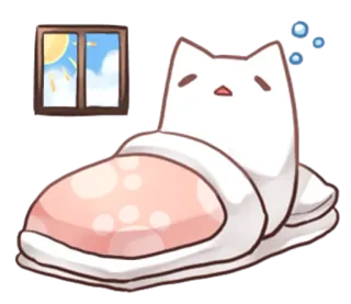 😪 zapatilla, gato, lindo, interior, ventana, kawaii, dormilón, casa, doméstico whatsapp sticker