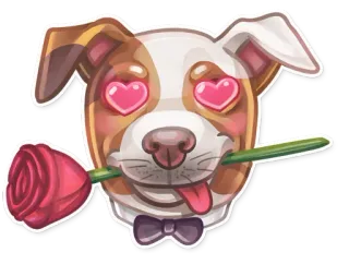 😍 cane, amore, romantico, occhi a cuore, fiore, rosa, carino, animale telegram sticker