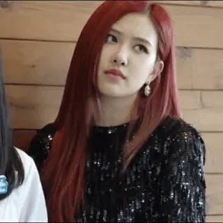 🍟 Rose นักร้อง, kpop, rose, blackpink whatsapp sticker