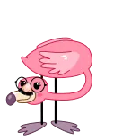 🥸 flamingo, desenho animado, rosa, pássaro, animal, óculos telegram sticker