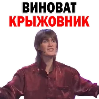 😵 ВИНОВАТ КРЫЖОВНИК русский, текст, крыжовник, выражение, человек whatsapp sticker