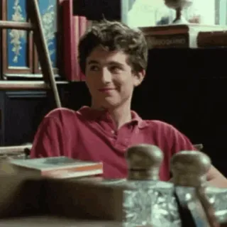 📯 Timothée Chalamet Call Me by Your Name acteur, film, portrait, assis, livres, intérieur telegram sticker