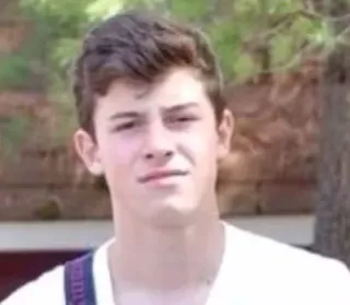 😐 Shawn Mendes singer, celebrity, portrait, musician telegram sticker