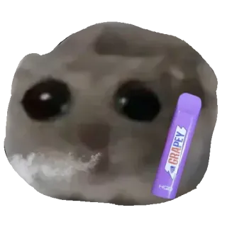 🚬 Sad Hamster GRAPEY sad hamster, vape, smoking, meme, grapey, funny, cute telegram sticker