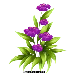 🌹 Blumen, lila Blumen, Blätter, Blumenmuster, Dekoration whatsapp sticker