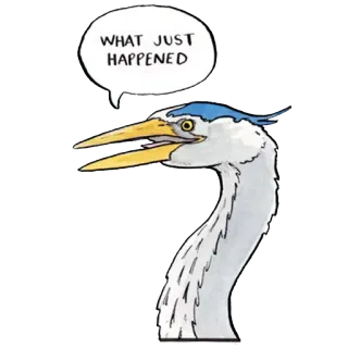 ❓ WHAT JUST HAPPENED bird, heron, question, confused, animal telegram sticker