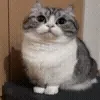 😬