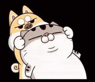 😡 mèo, chó, ôm, dễ thương, động vật, hoạt hình whatsapp sticker