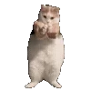 💃