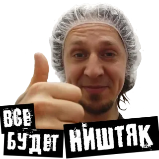 echydna whatsapp stickers